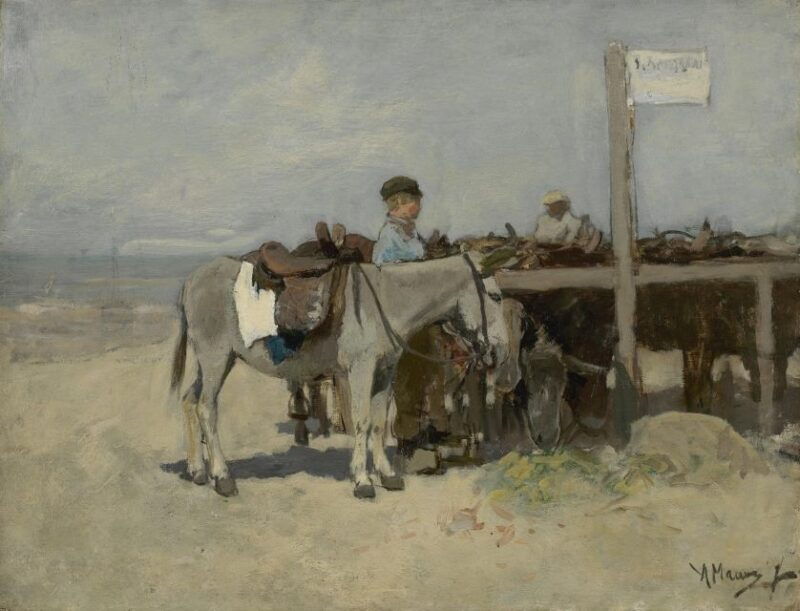the-hague-mesdag-collection-entry-ticket
