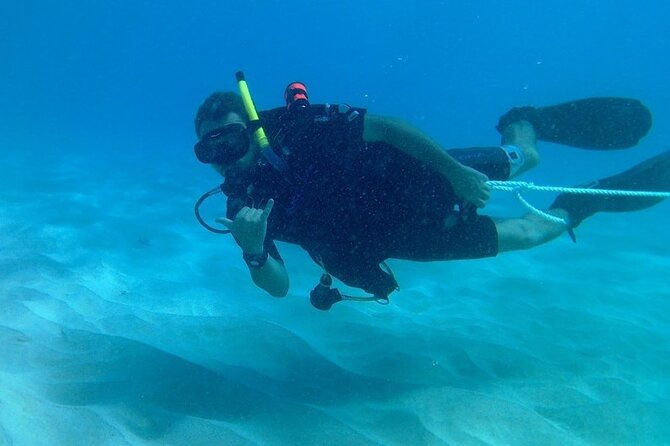the-original-tiger-shark-challenge