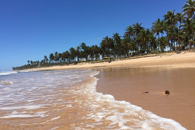 the-perfect-2-days-salvador-and-north-coast-with-1-night-hotel