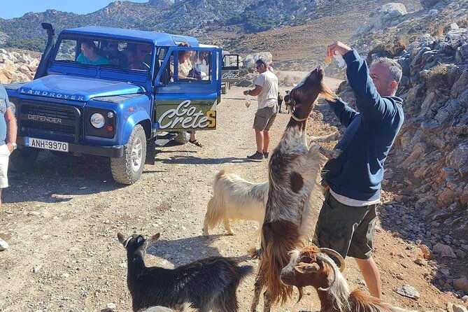 the-roads-of-wine-olive-oil-and-cretan-tradition-in-malia