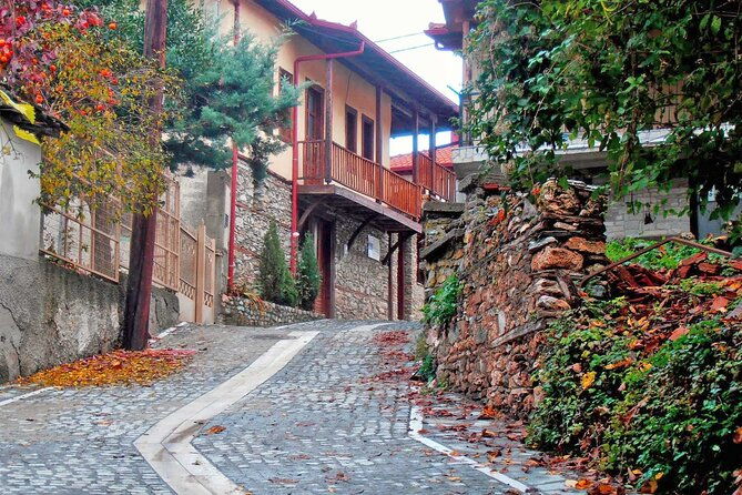 thessaloniki-to-naoussa-wine-tasting-tour-private-day-trip