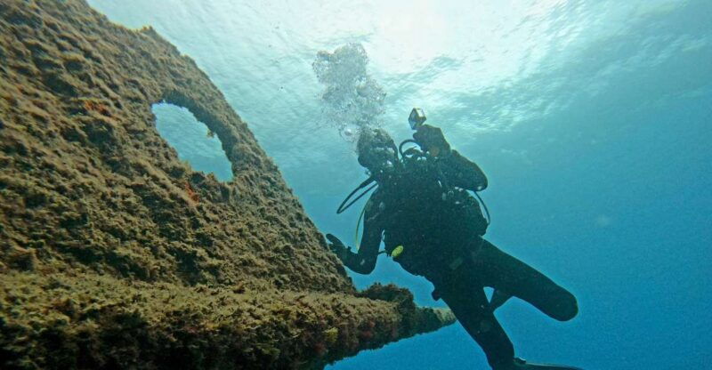 third-angra-do-heroismo-scuba-diving-tour-with-2-dives