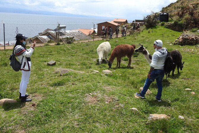 titicaca-lake-sun-island-2-days-tour-english-speaking-guide