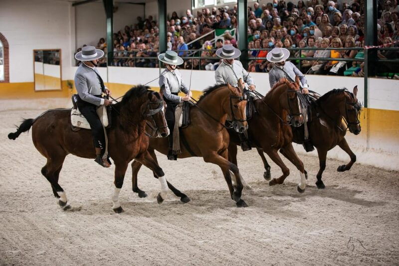 torremolinos-spanish-horse-show-and-flamenco-option-with-dinner