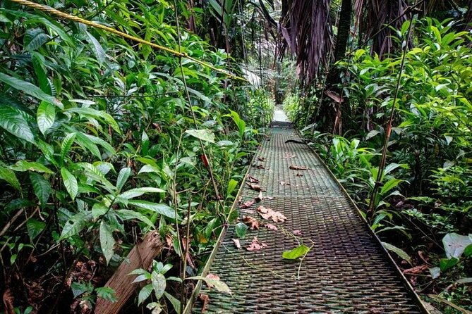 tortuguero-national-park-admission-ticket