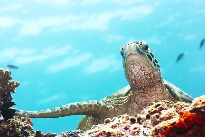tortuguero-park-3-days-vacation-package
