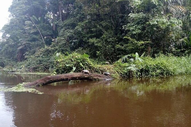tortuguero-private-kayak-tour