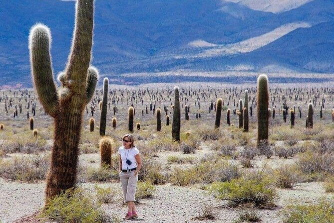 tour-to-cachi-from-salta