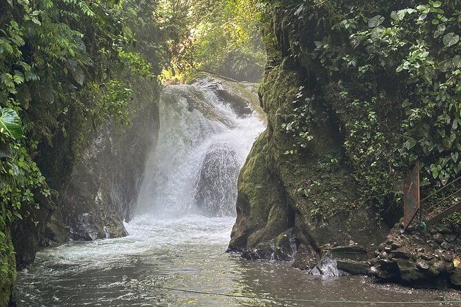 tour-to-mindo-private-and-shared
