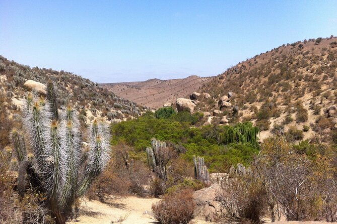 tour-to-valle-del-encanto-archeology-petroglyphs-flora-fauna-and-springs