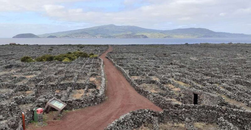 tours-on-pico-island-cultural-and-natural-landscape