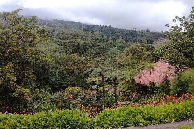 transport-from-la-fortuna-to-liberia-airport