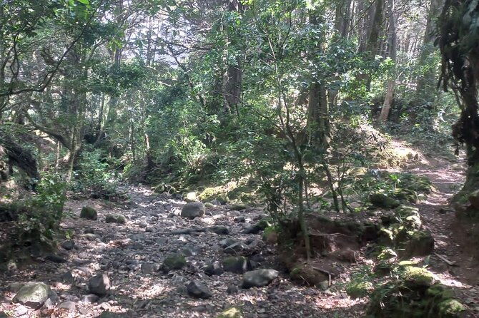 travel-through-the-mountains-of-heredia-and-alajuela