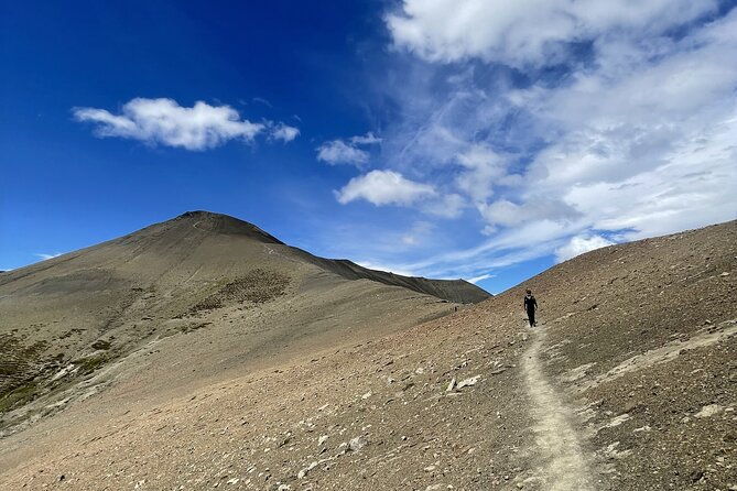 trekking-in-el-calafate
