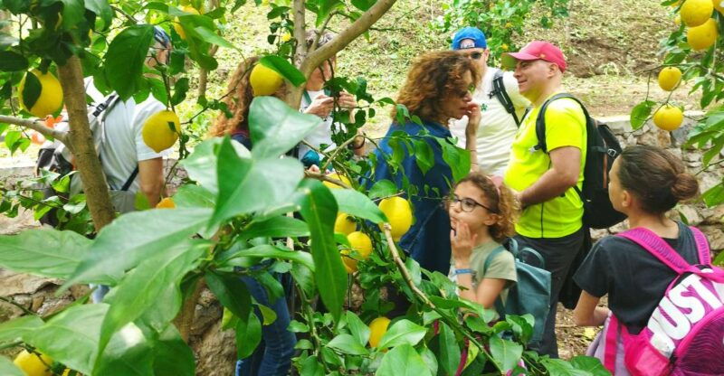 trekking-lemon-tour
