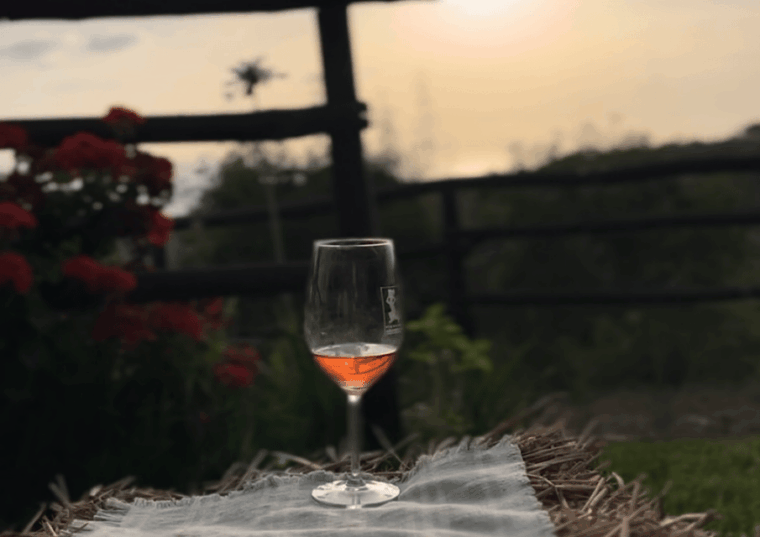 tropea-wine-and-food-tasting