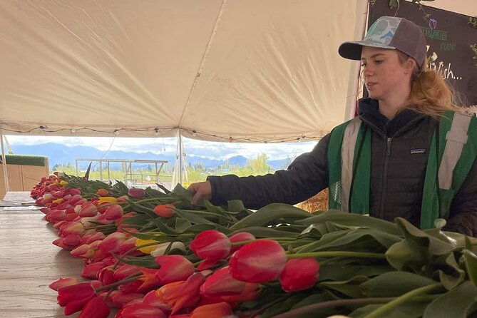 tulip-valley-farms-u-pick-experience