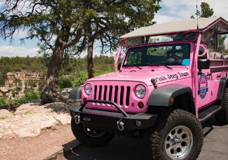 tusayan-grand-canyon-desert-view-south-rim-pink-jeep-tour
