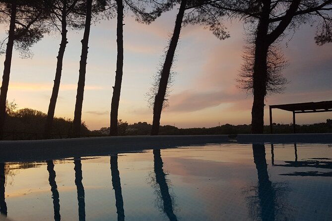 tuscan-dinner-in-a-villa-in-an-ancient-siena-olive-grove