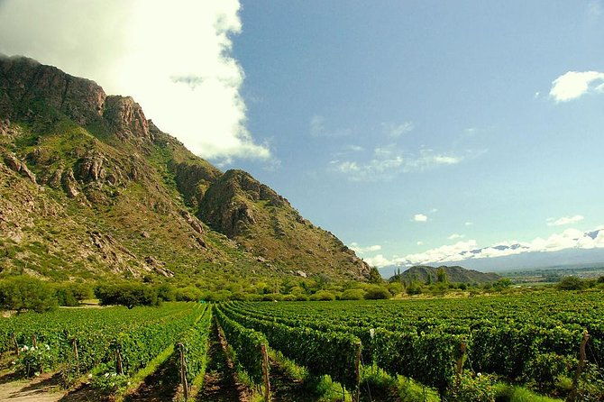unveiling-cafayate-premium-wine-road-adventure