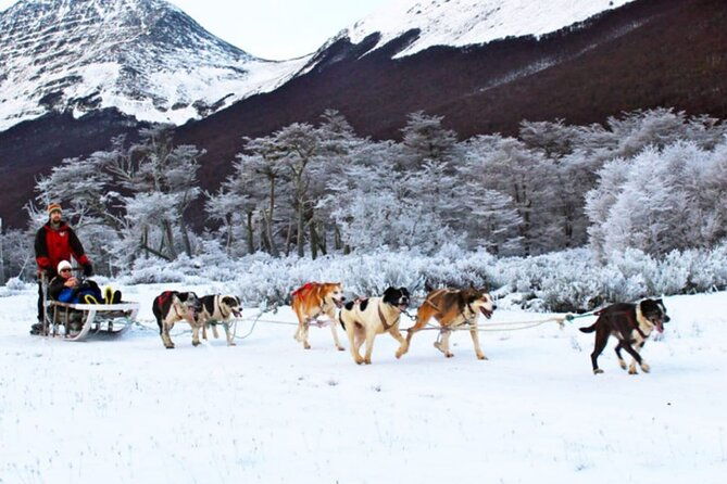 ushuaia-full-day-snow-sledding-with-huskies-snowmobile-4x4