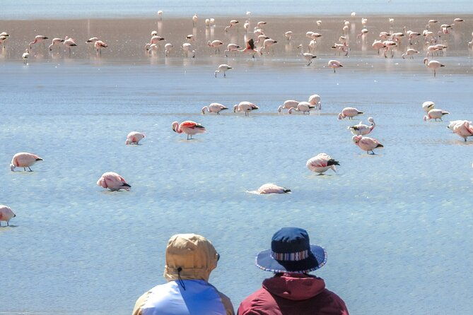 uyuni-salt-flat-death-road-5-day-tour-from-la-paz-city