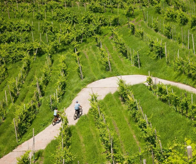 valdobbiadene-e-bike-tour-on-the-prosecco-hills