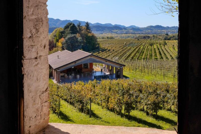 valdobbiadene-prosecco-tasting-where-art-meets-wine