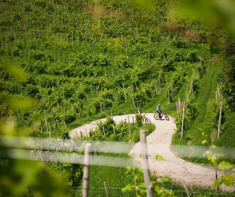 valdobbiadene-self-guided-e-bike-tour-in-the-prosecco-hills