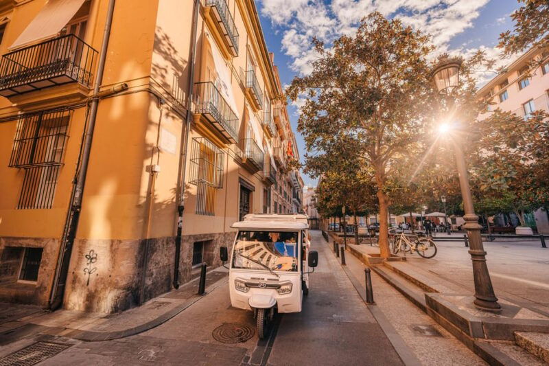 valencia-2-hour-city-highlights-guided-tuk-tuk-tour
