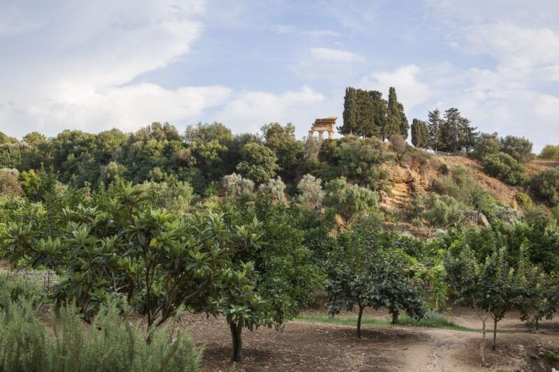 valley-of-the-temples-kolymbethra-garden-entry-ticket