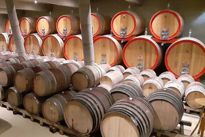 valparaiso-casablanca-wine-tour-and-tasting-from-santiago