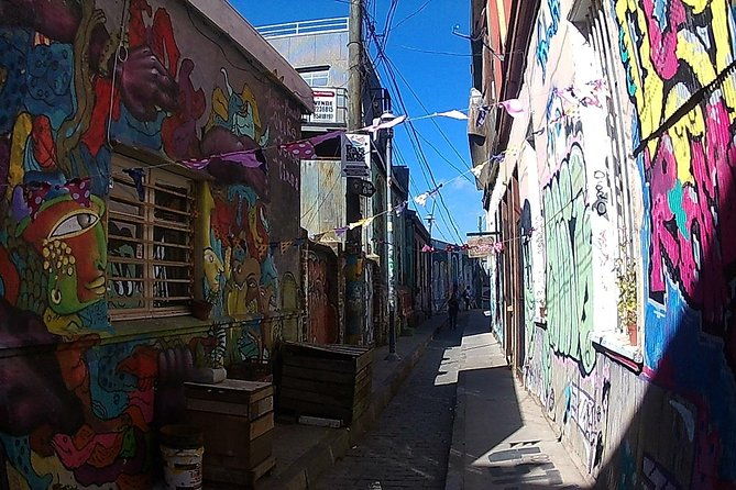 valparaiso-vina-del-mar-city-tour-museum-lunch-from-santiago-2