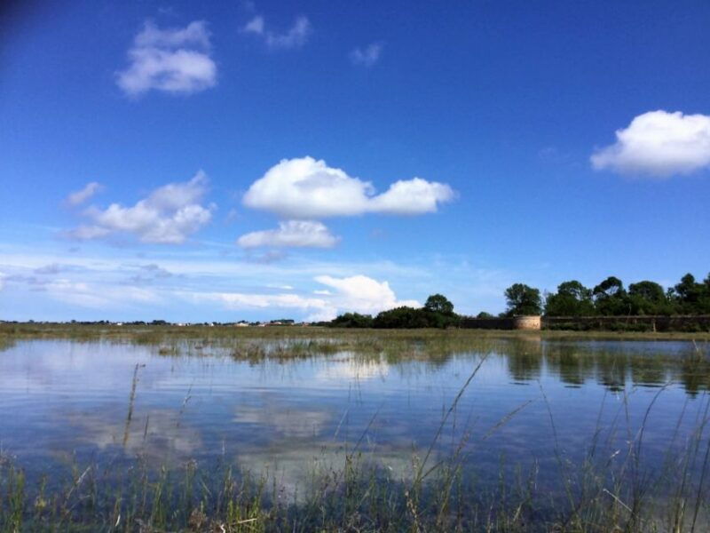 venice-santerasmo-vignole-and-lagoon-kayaking-tour
