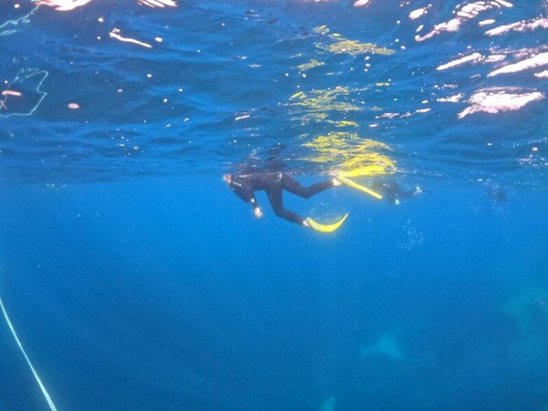 villasimius-snorkeling-tour-in-capo-carbonara