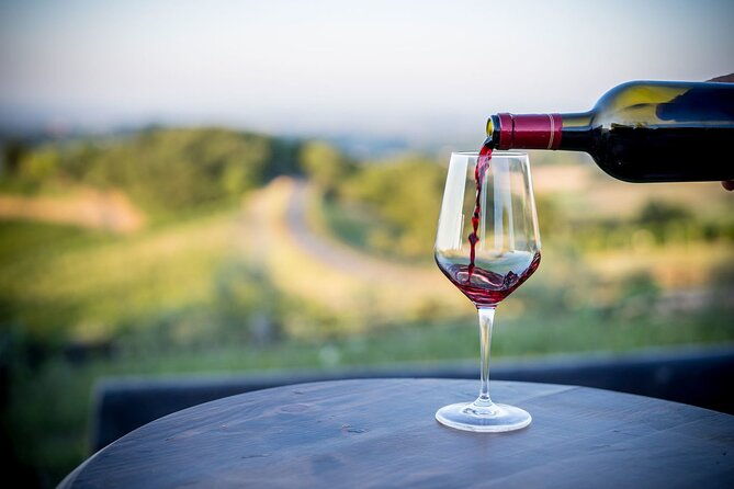 vineyards-and-delicacies-of-parmas-surrounding-hills