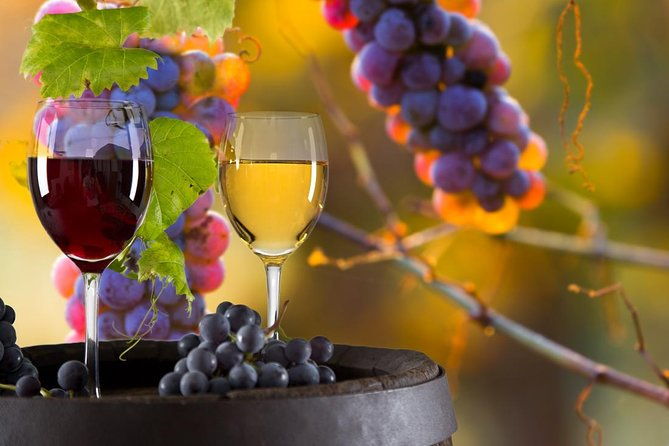 vinyard-tour-by-horse-carriage-with-delicious-tasting-umbria