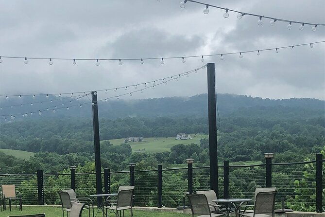 virginia-winery-excursion-by-luxury-vehicle-three-wineries