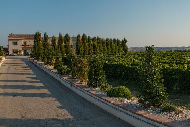 visit-and-wine-tasting-30-minutes-from-pescara