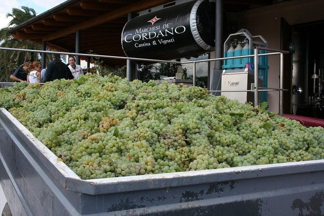 visit-the-marchesi-de-cordano-winery-and-taste-its-wines