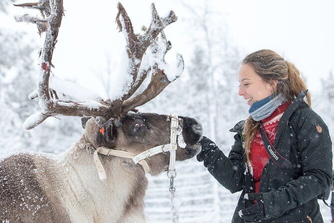 visit-the-sami-and-reindeer-in-a-day-trip-from-abisko
