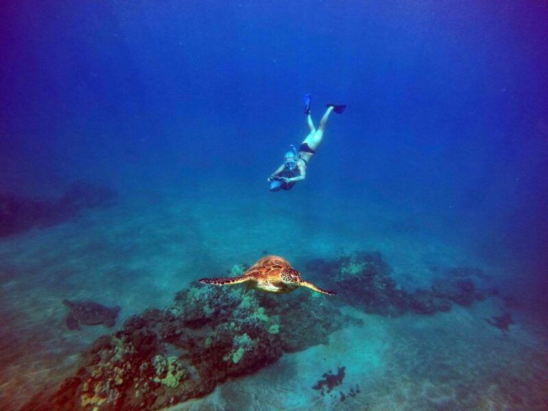 wailea-beach-guided-sea-scooter-snorkeling-tour