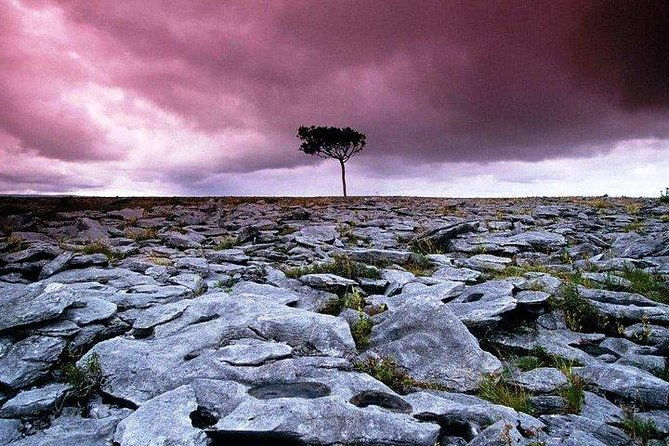 walking-in-the-burren-with-perfumery-visit-clare-guided-3-hours