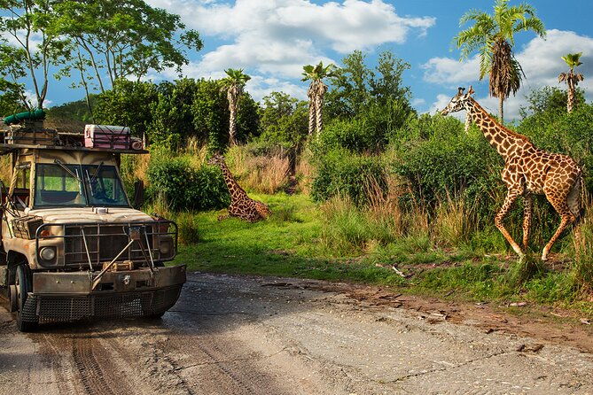 walt-disney-world-admission-with-water-park-and-sports-option