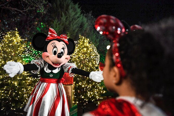 walt-disney-world-special-event-tickets