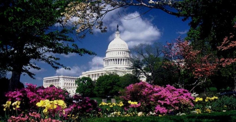 washington-dc-monuments-and-memorials-photography-lesson