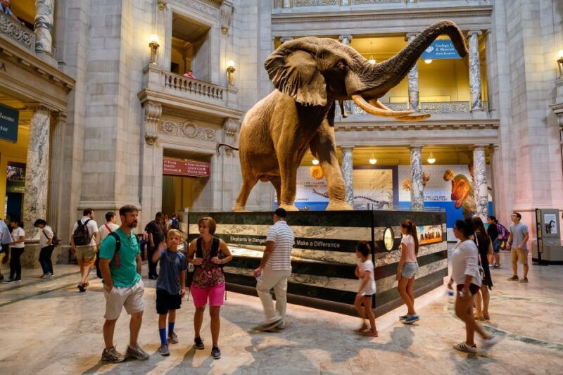washington-dc-museum-of-natural-history-private-guided-tour