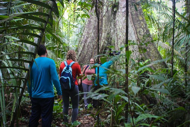 welcome-to-the-jungle-5d-4n-at-tapiri-rio-negro-lodge