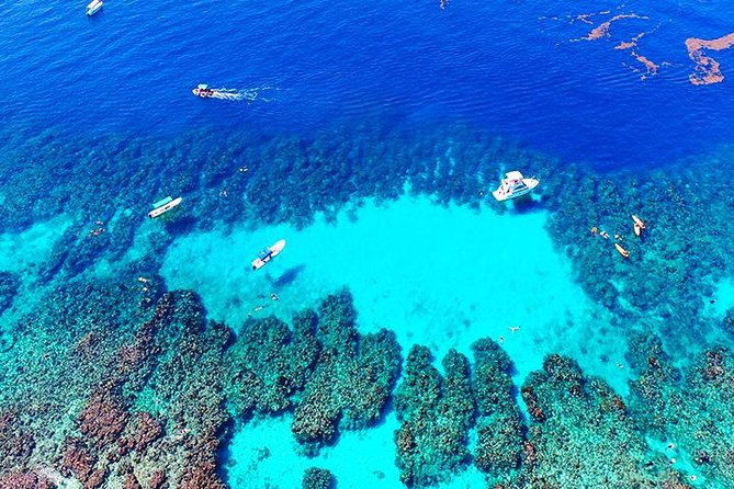 west-bay-aquarium-snorkeling-chocolate-rum-factory-city-tour-plus-transfer