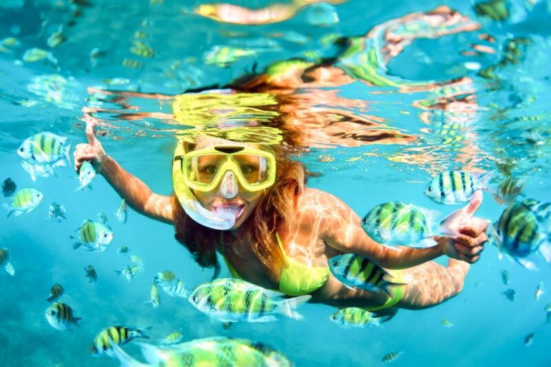 west-oahu-turtles-dolphins-and-snorkeling-tour-with-lunch